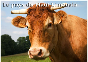 Le pays du Haut Limousin